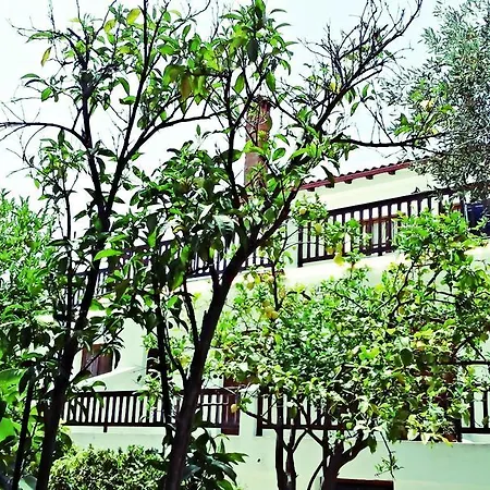 Guest house Naftilos Skiathos Town